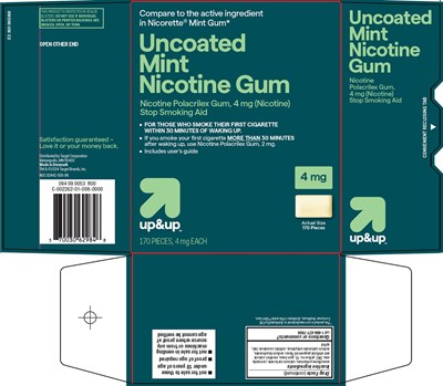 Uncoated Mint Nicotine Gum Carton Image 1 (6w296uwc2 Image 1)